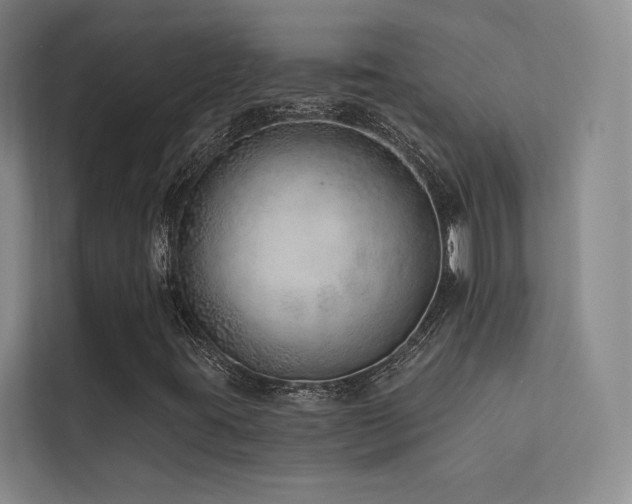 X0000113201395200909101102