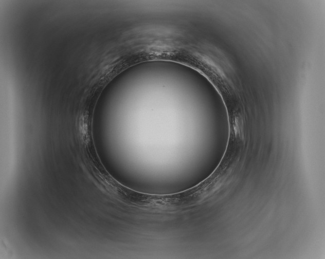 X0000113201396200909101102