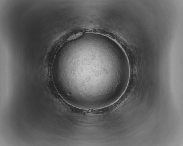 X0000113201398200909101102