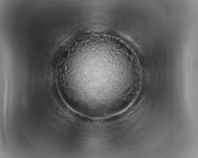 X0000113201399200909101102