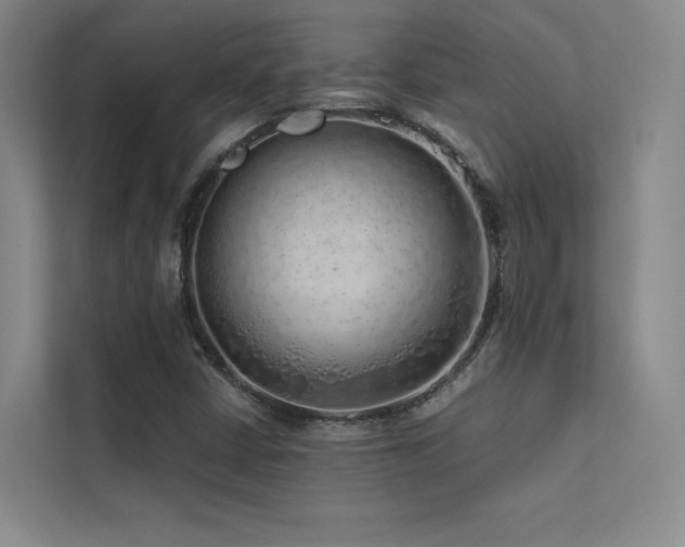 X0000113201402200909101102