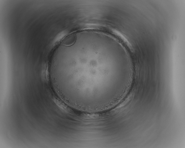 X0000113201403200909101102