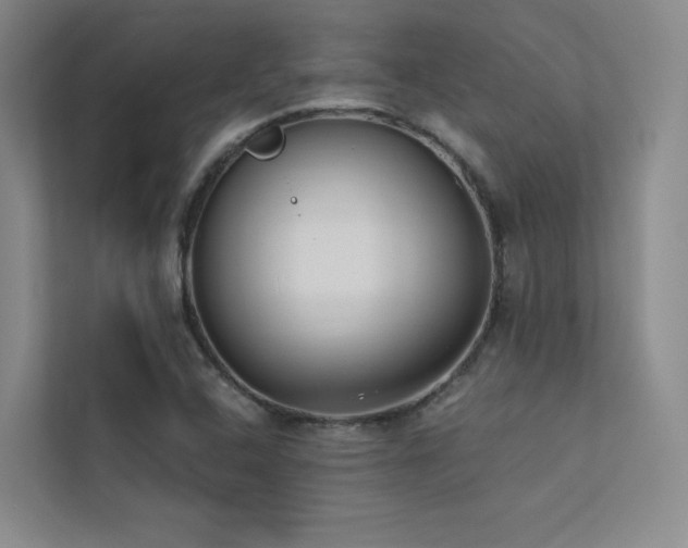 X0000113201408200909101103