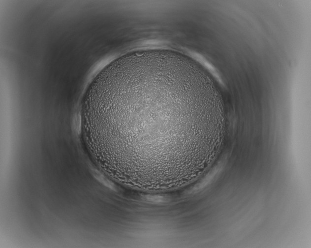 X0000113201413200909101103