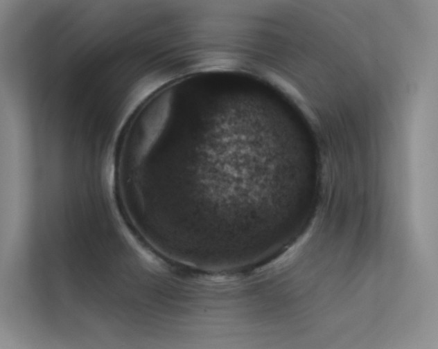 X0000113201418200909101103