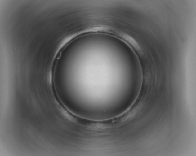 X0000113201420200909101103