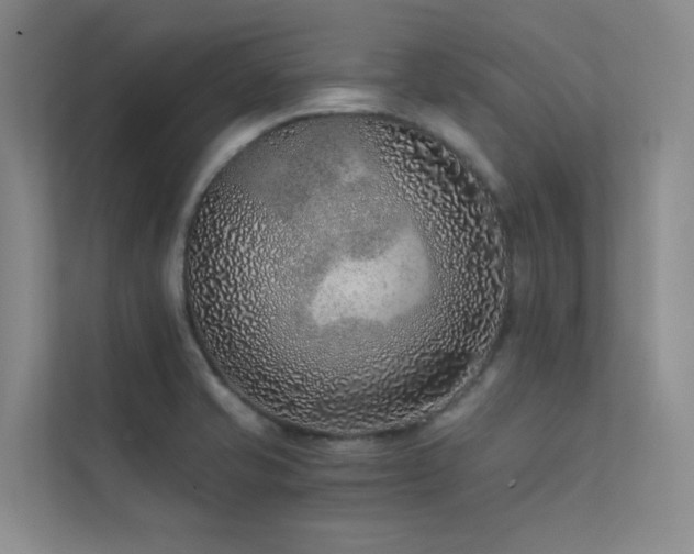 X0000113201421200909101103