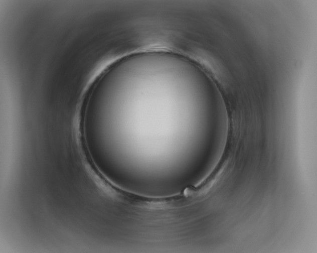 X0000113201422200909101103