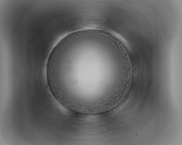 X0000113201423200909101103