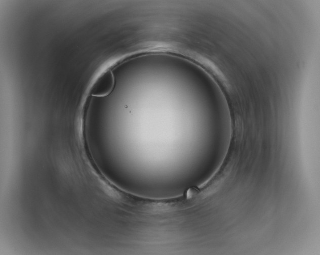 X0000113201424200909101103