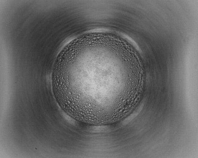 X0000113201425200909101103