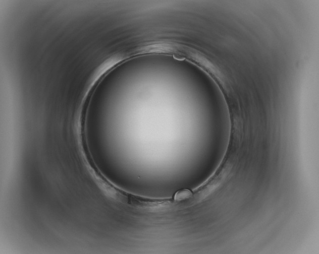 X0000113201426200909101103