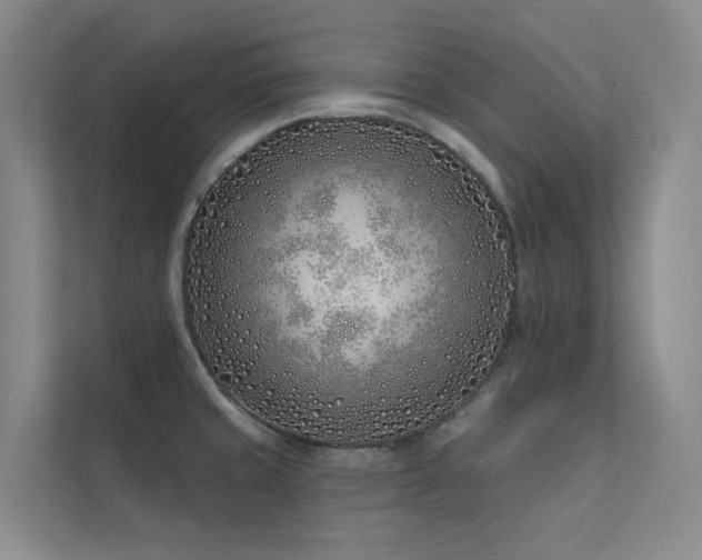 X0000113201429200909101103