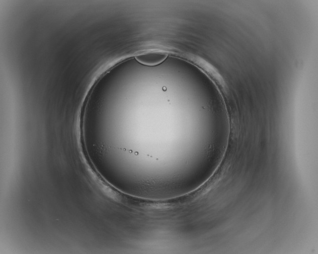 X0000113201431200909101103