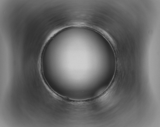 X0000113201432200909101103