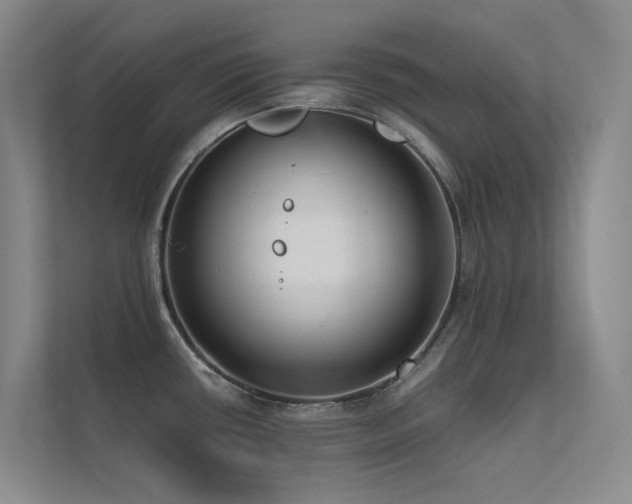 X0000113201434200909101103