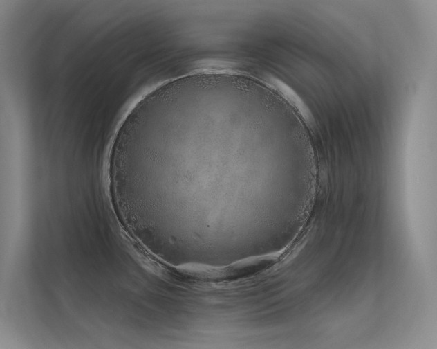 X0000113201435200909101103