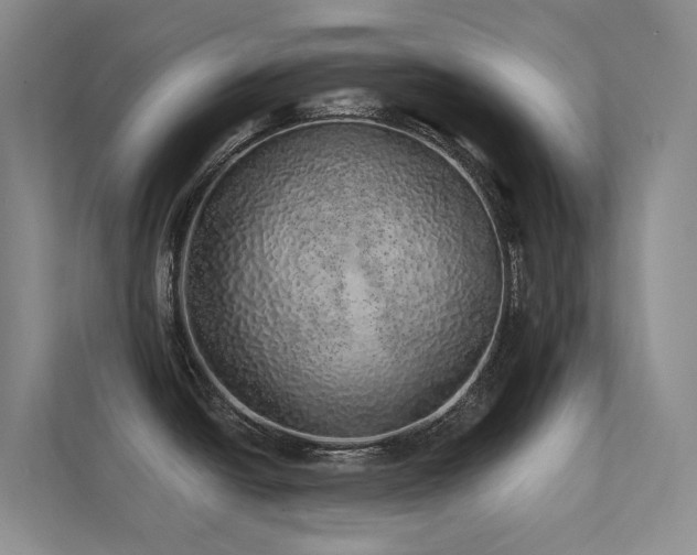 X0000113201438200909101103