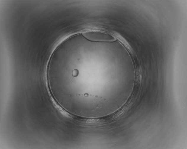 X0000113201439200909101103