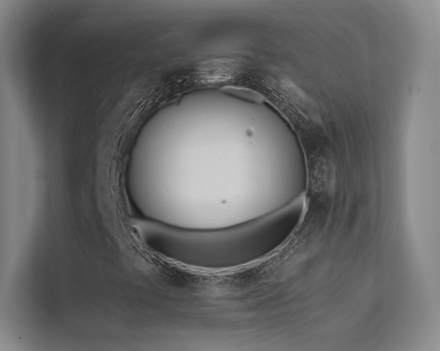 X0000113201441200909101102