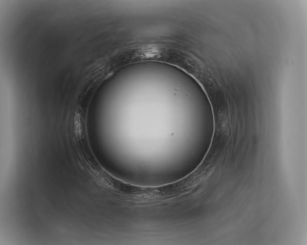 X0000113201442200909101102