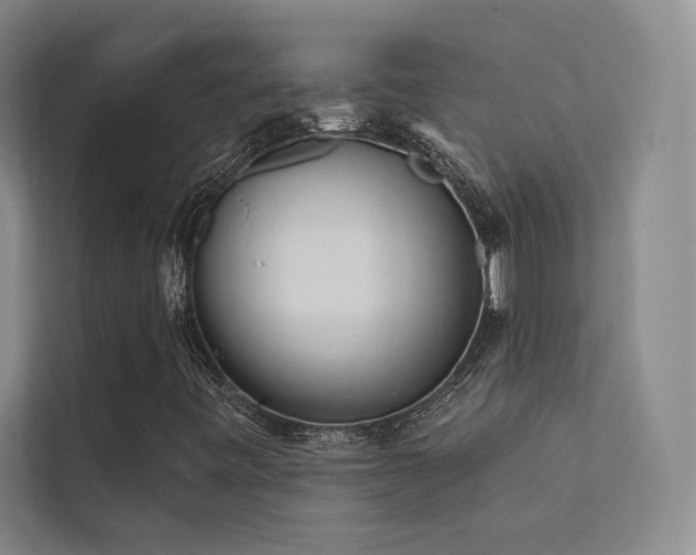 X0000113201443200909101102