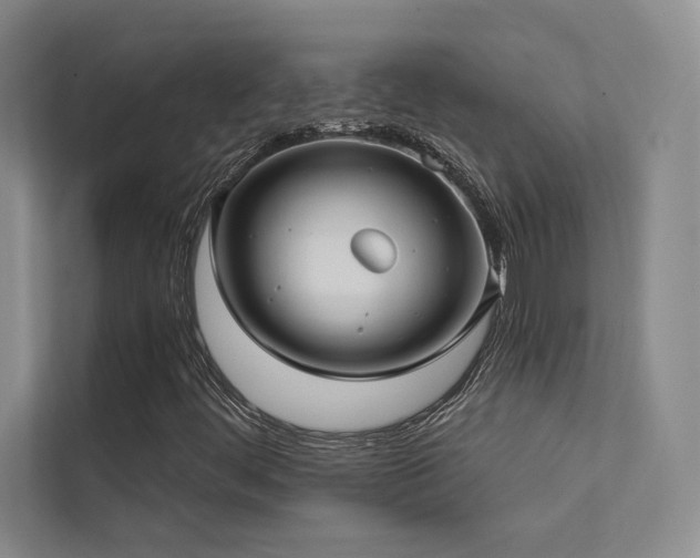 X0000113201444200909101102