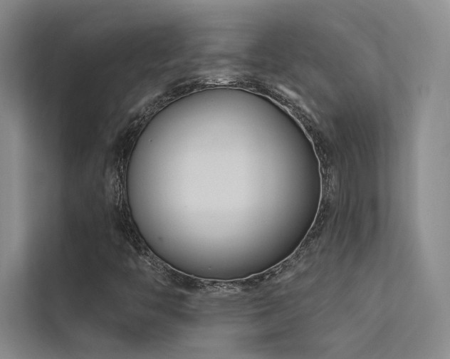 X0000113201446200909101102