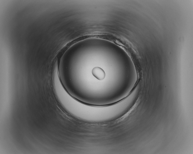 X0000113201449200909101102