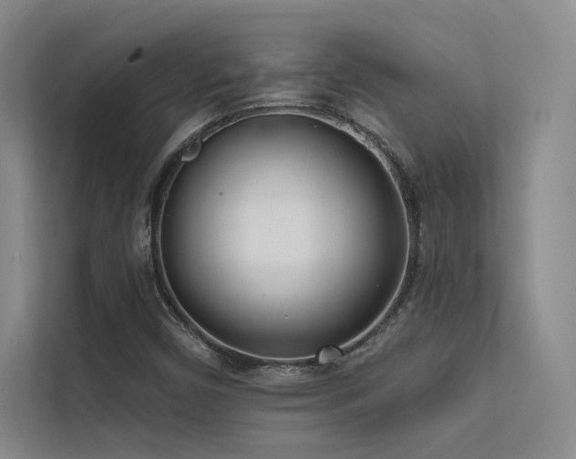 X0000113201450200909101102