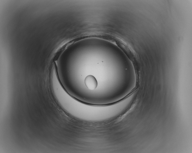 X0000113201453200909101102