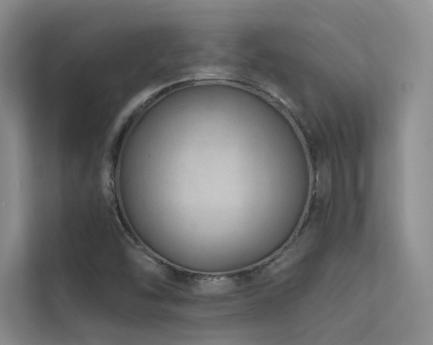 X0000113201454200909101102