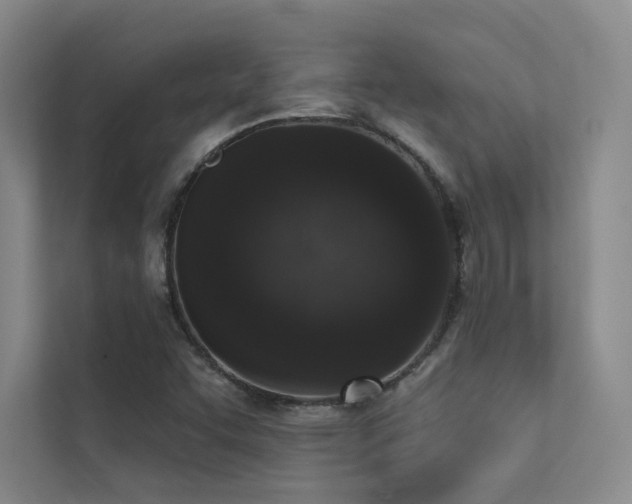 X0000113201455200909101102