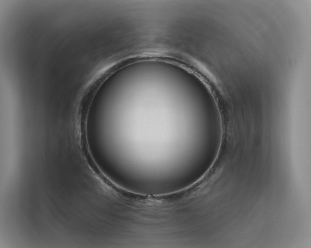 X0000113201456200909101102