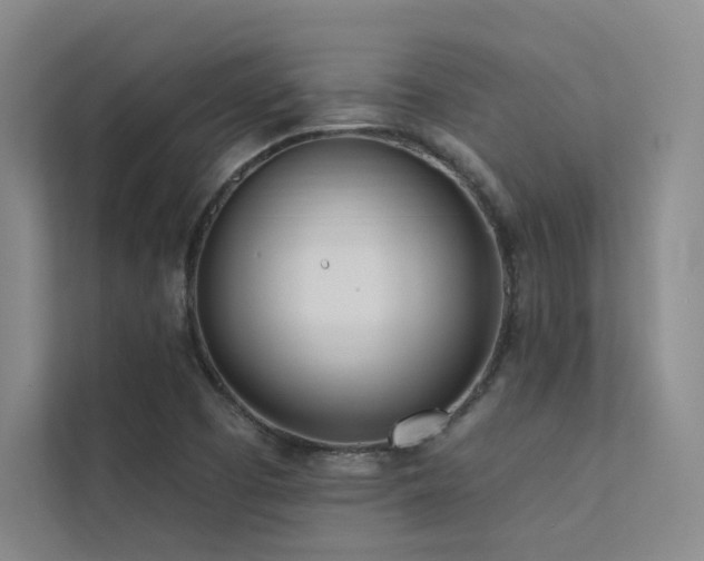 X0000113201457200909101102