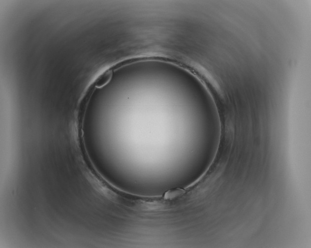 X0000113201460200909101102