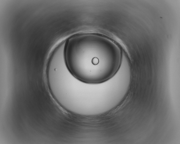 X0000113201464200909101102