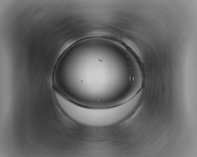 X0000113201465200909101102