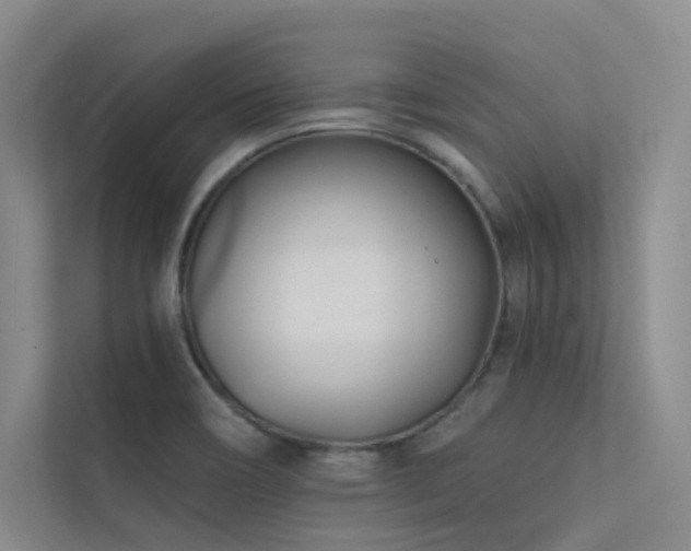 X0000113201466200909101102