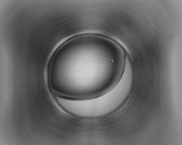 X0000113201468200909101102