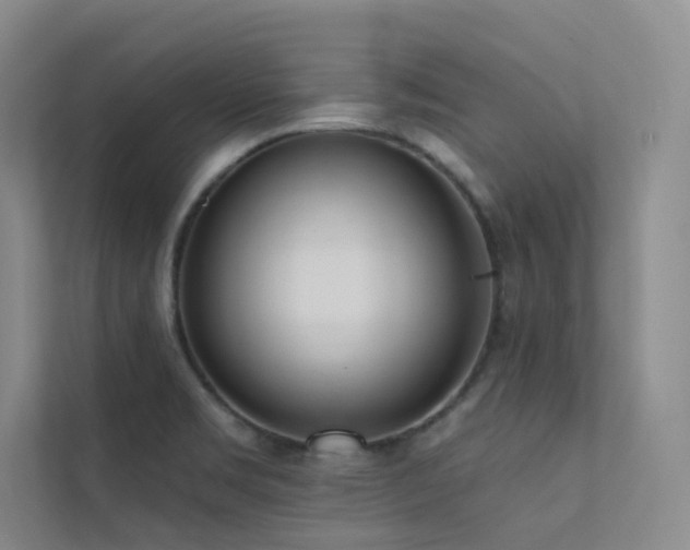 X0000113201469200909101102