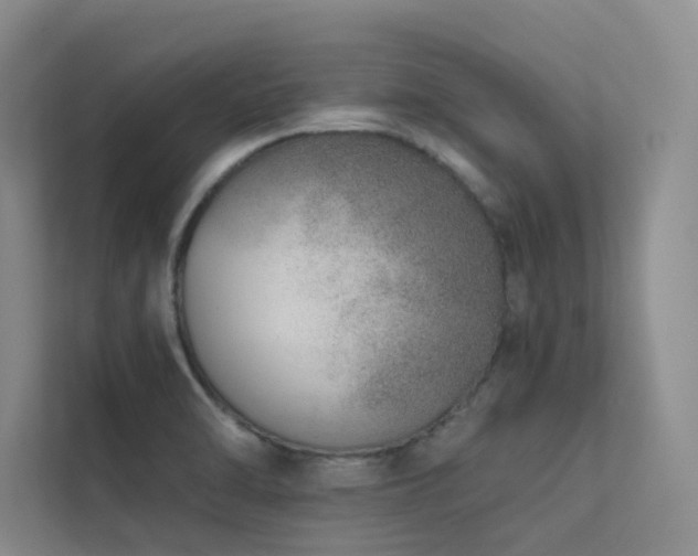 X0000113201470200909101102