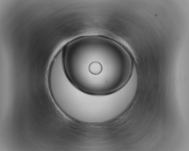 X0000113201472200909101102