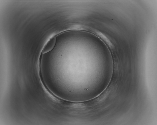 X0000113201479200909101102