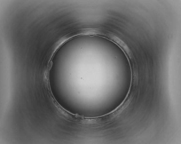 X0000113201481200909101102