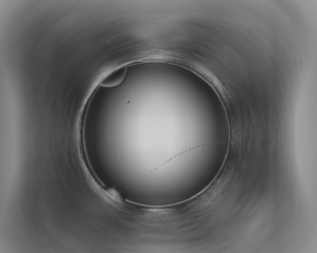 X0000113201483200909101102