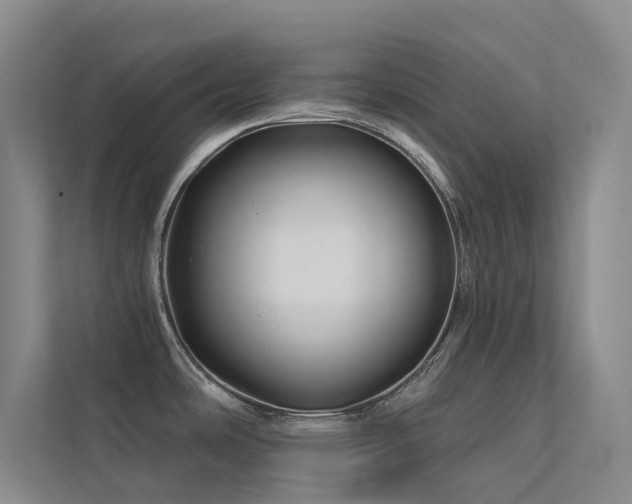 X0000113201486200909101102