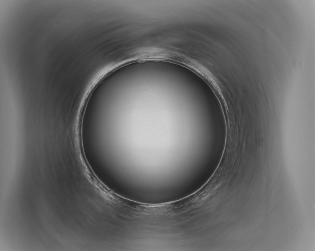 X0000113201488200909101102