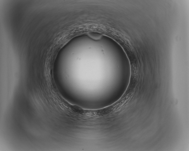 X0000113201489200909101101