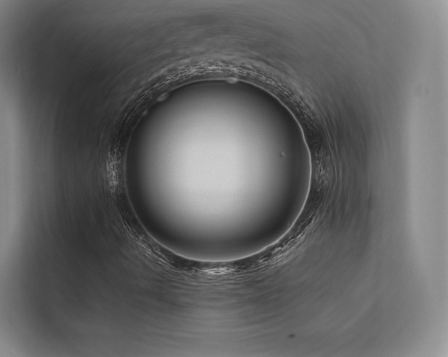 X0000113201490200909101101